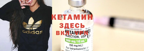 эйфоретик Вяземский
