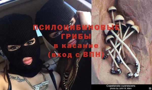 a pvp Вязники