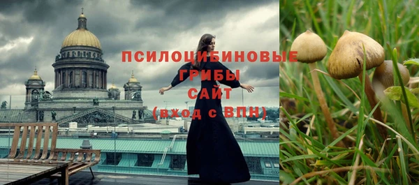 apvp Слюдянка