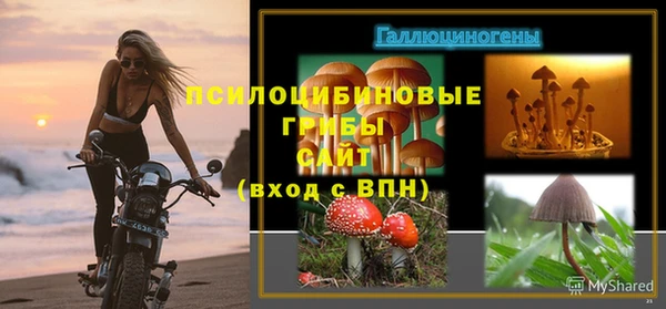 apvp Слюдянка